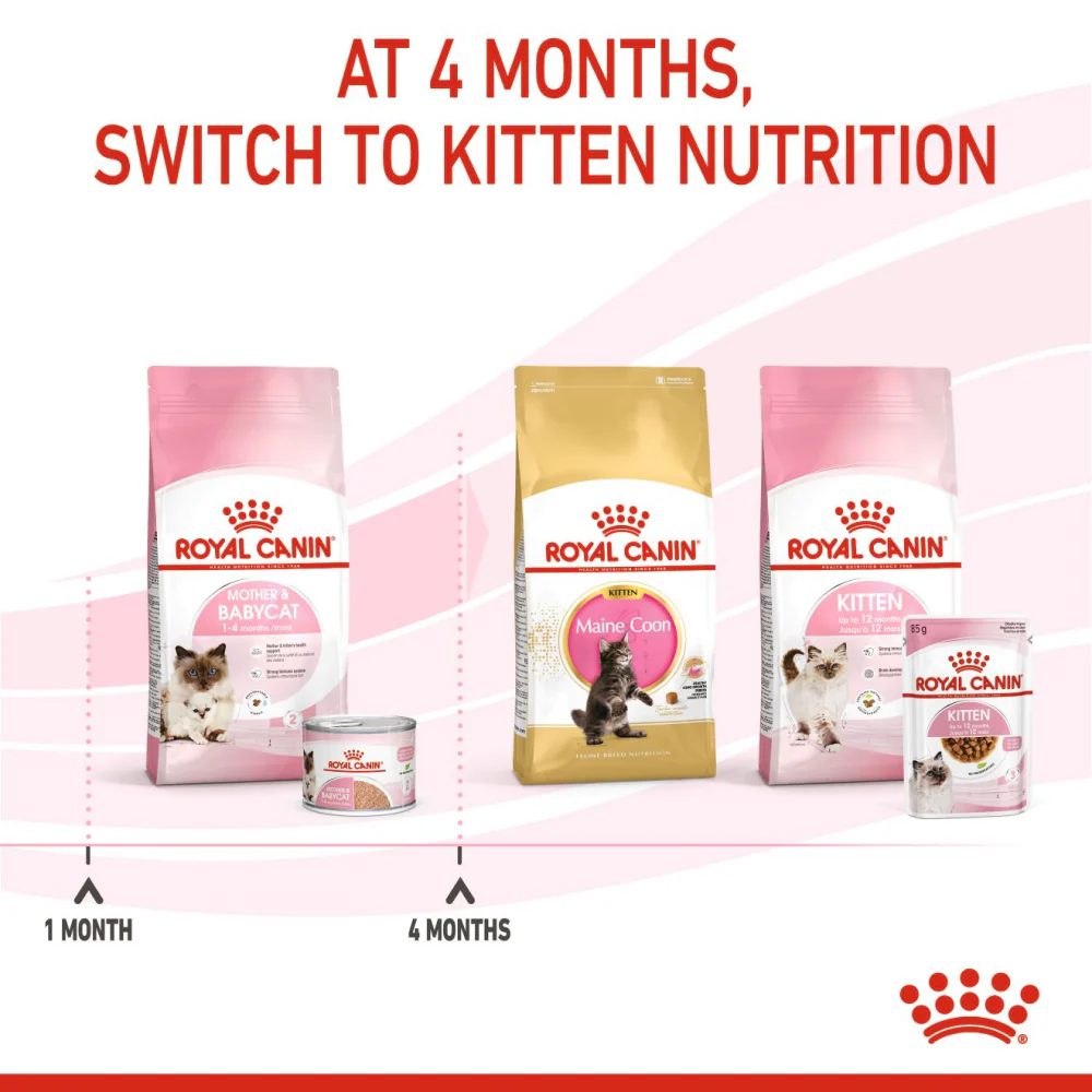 Royal Canin Mother & Babycat Cat Dry Food - Image 7