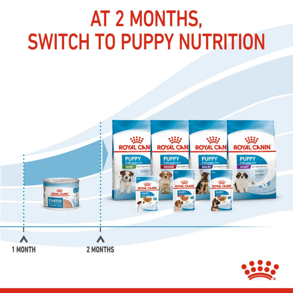 Royal Canin Mousse Mother and Baby Starter Dog Wet Food - Image 3