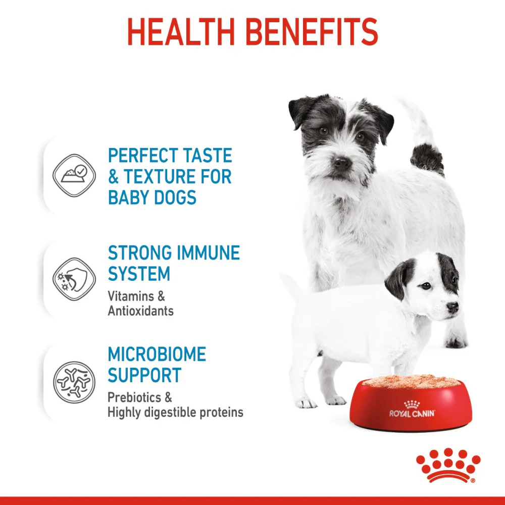Royal Canin Mousse Mother and Baby Starter Dog Wet Food - Image 4