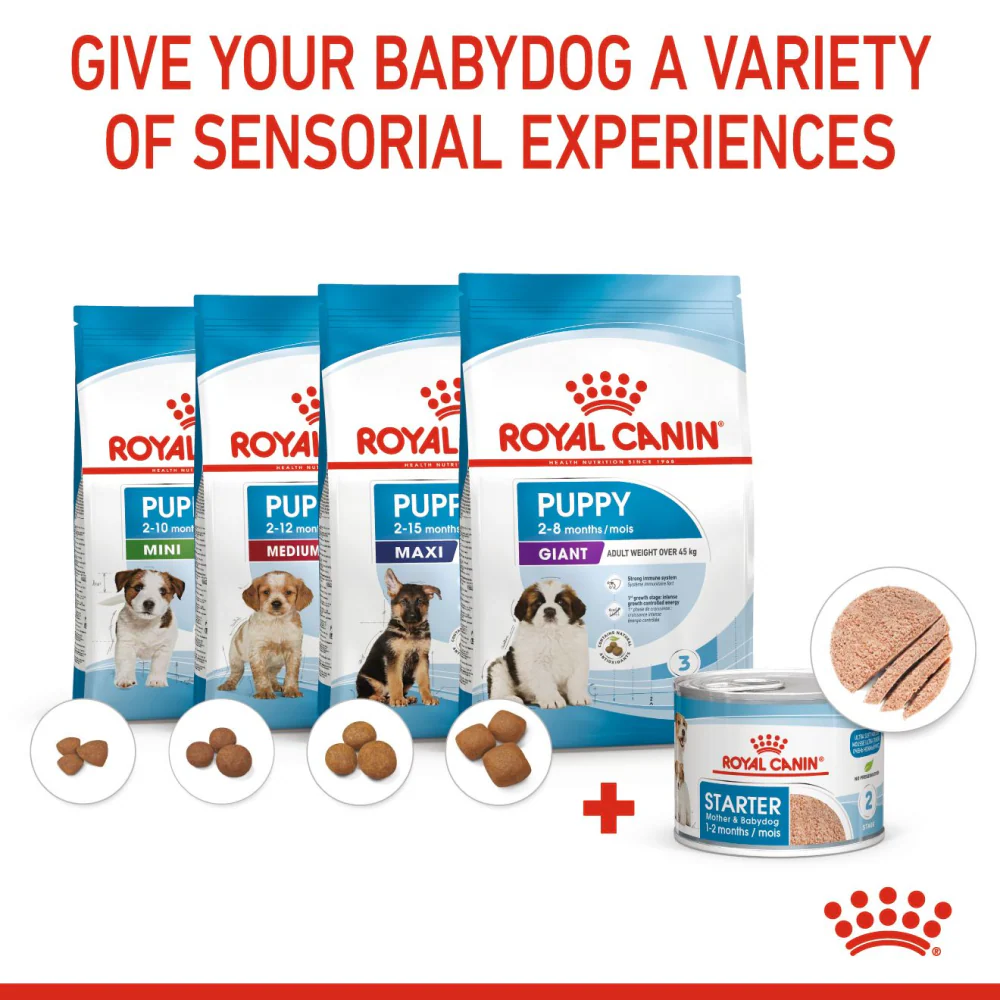 Royal Canin Mousse Mother and Baby Starter Dog Wet Food - Image 7