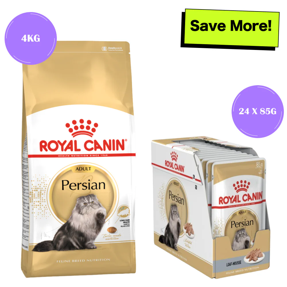 Royal Canin Persian Adult Cat Dry and Wet Food Combo - Image 11