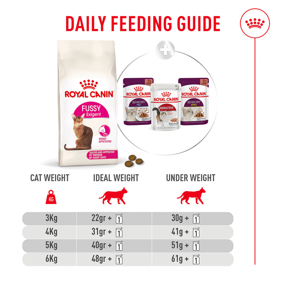 Royal Canin Fussy Exigent Cat Dry Food - Image 4