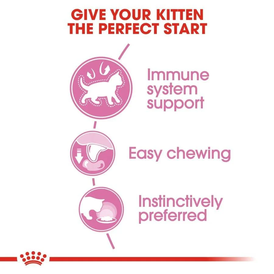 Royal Canin Persian Dry Food and Gravy Kitten Cat Wet Food Combo - Image 12