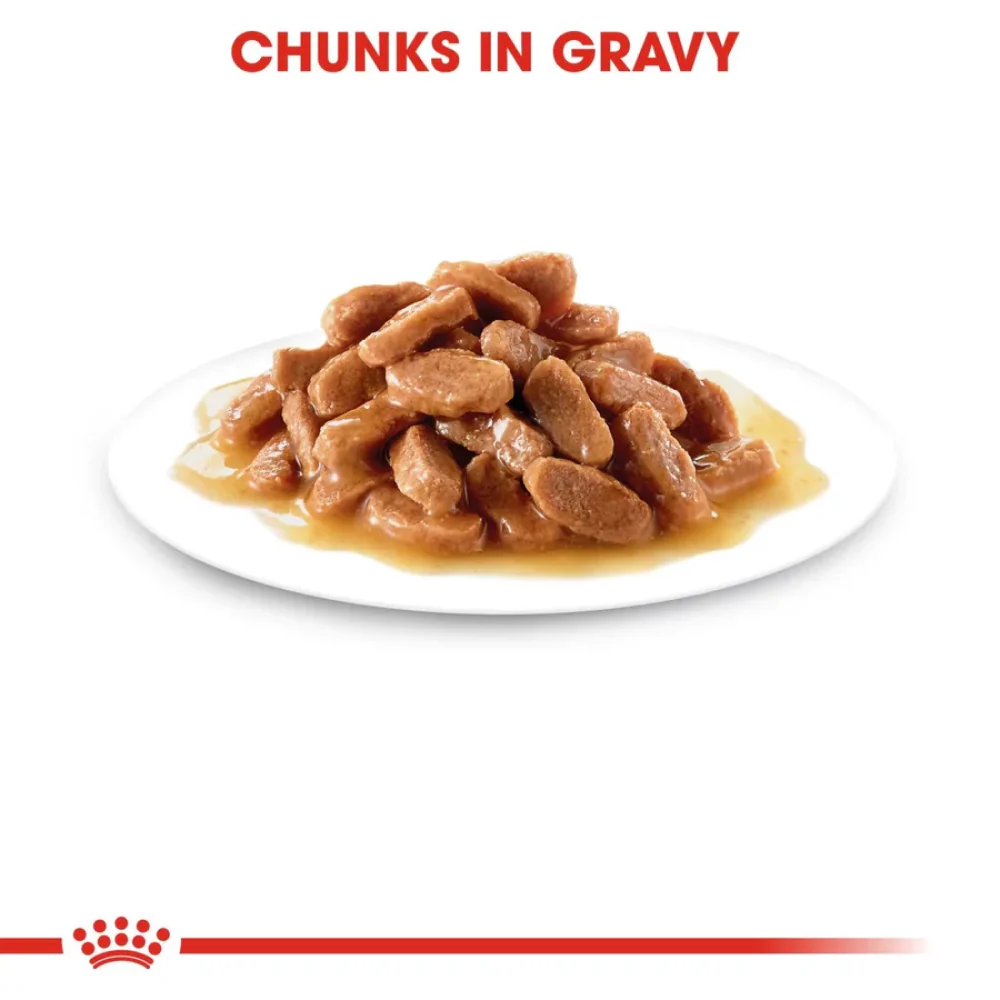 Royal Canin Persian Dry Food and Gravy Kitten Cat Wet Food Combo - Image 13