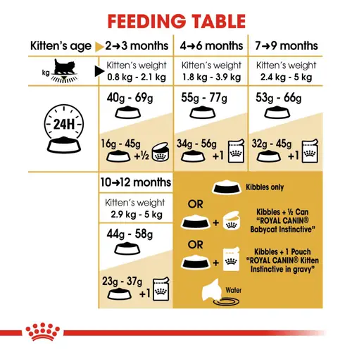 Royal Canin Persian Dry Food and Gravy Kitten Cat Wet Food Combo - Image 6