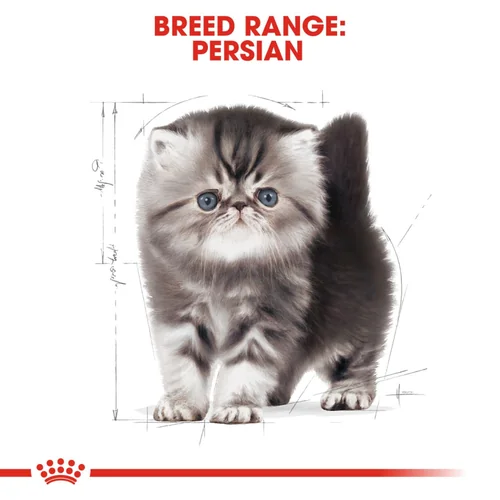 Royal Canin Persian Dry Food and Gravy Kitten Cat Wet Food Combo - Image 8