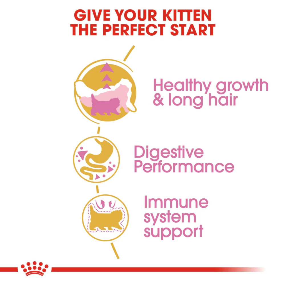 Royal Canin Persian Kitten Food Dry Cat Food - Image 2