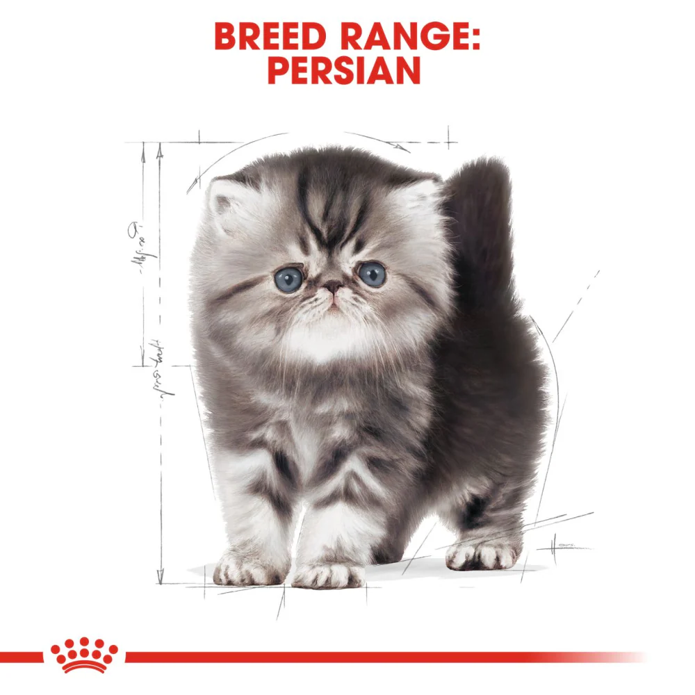 Royal Canin Persian Kitten Food Dry Cat Food - Image 8