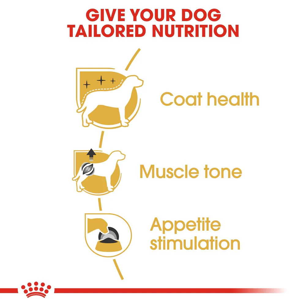 Royal Canin Poodle Adult Dog Dry Food - Image 2