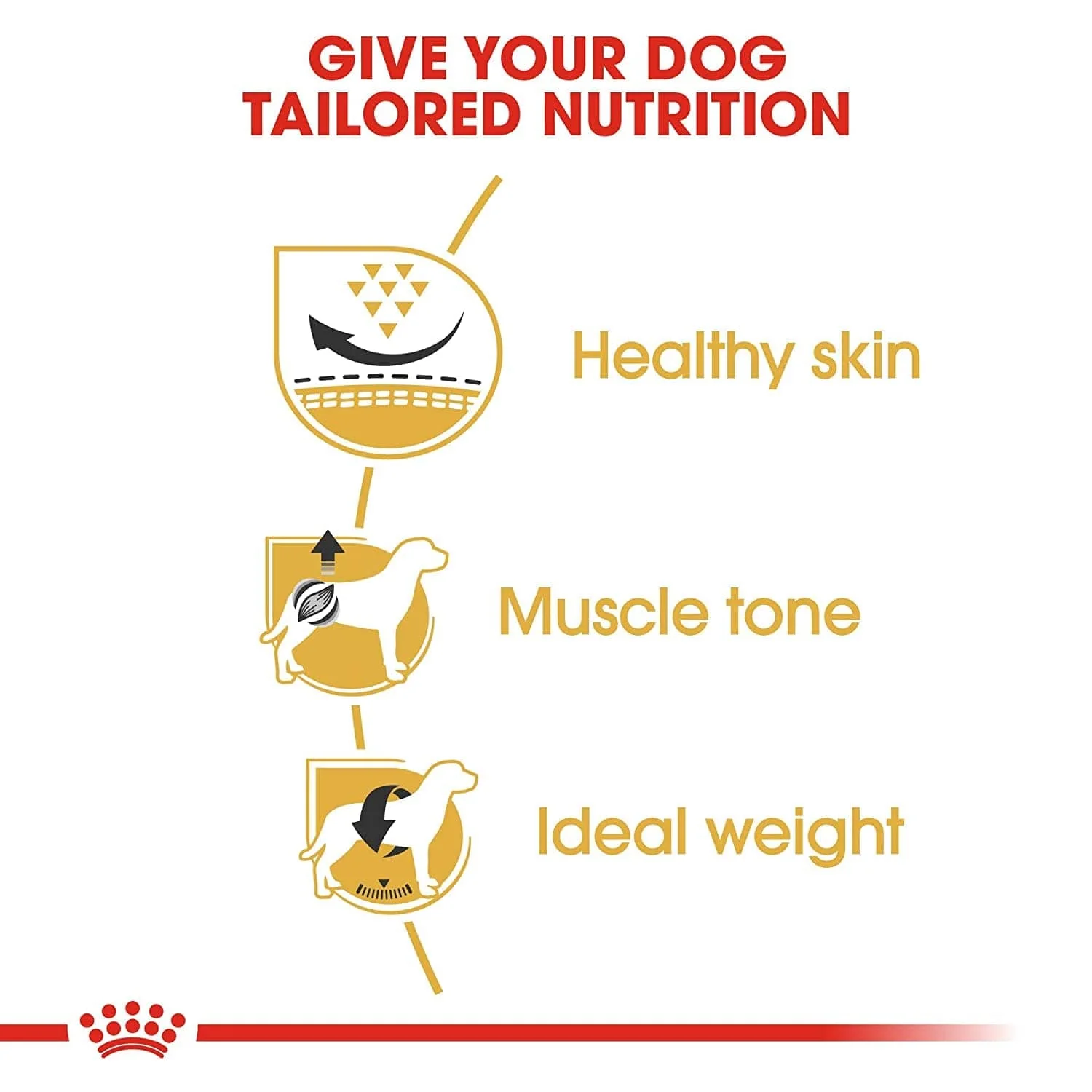 Royal Canin Pug Adult Dog Dry Food - Image 5