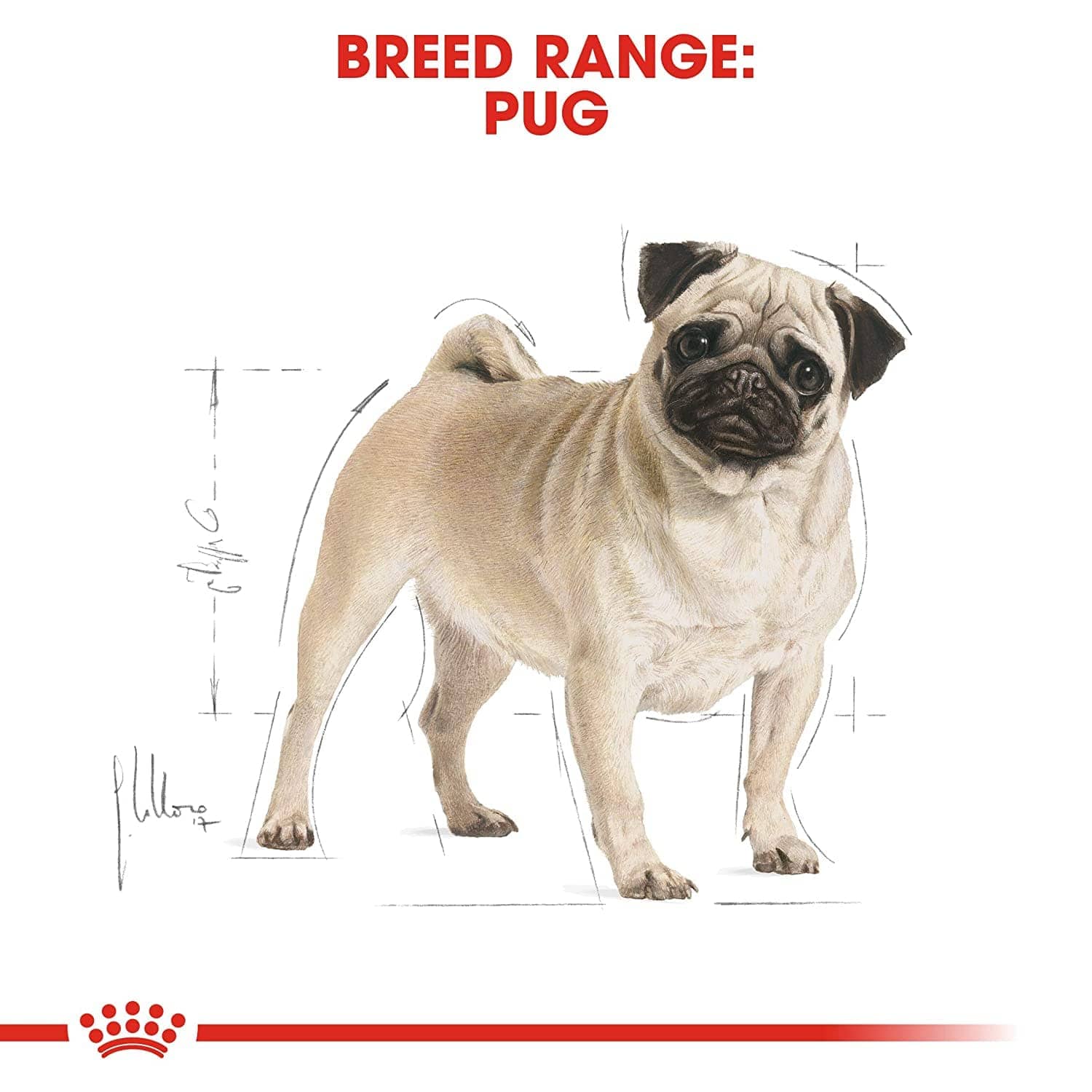 Royal Canin Pug Adult Dog Dry Food - Image 6