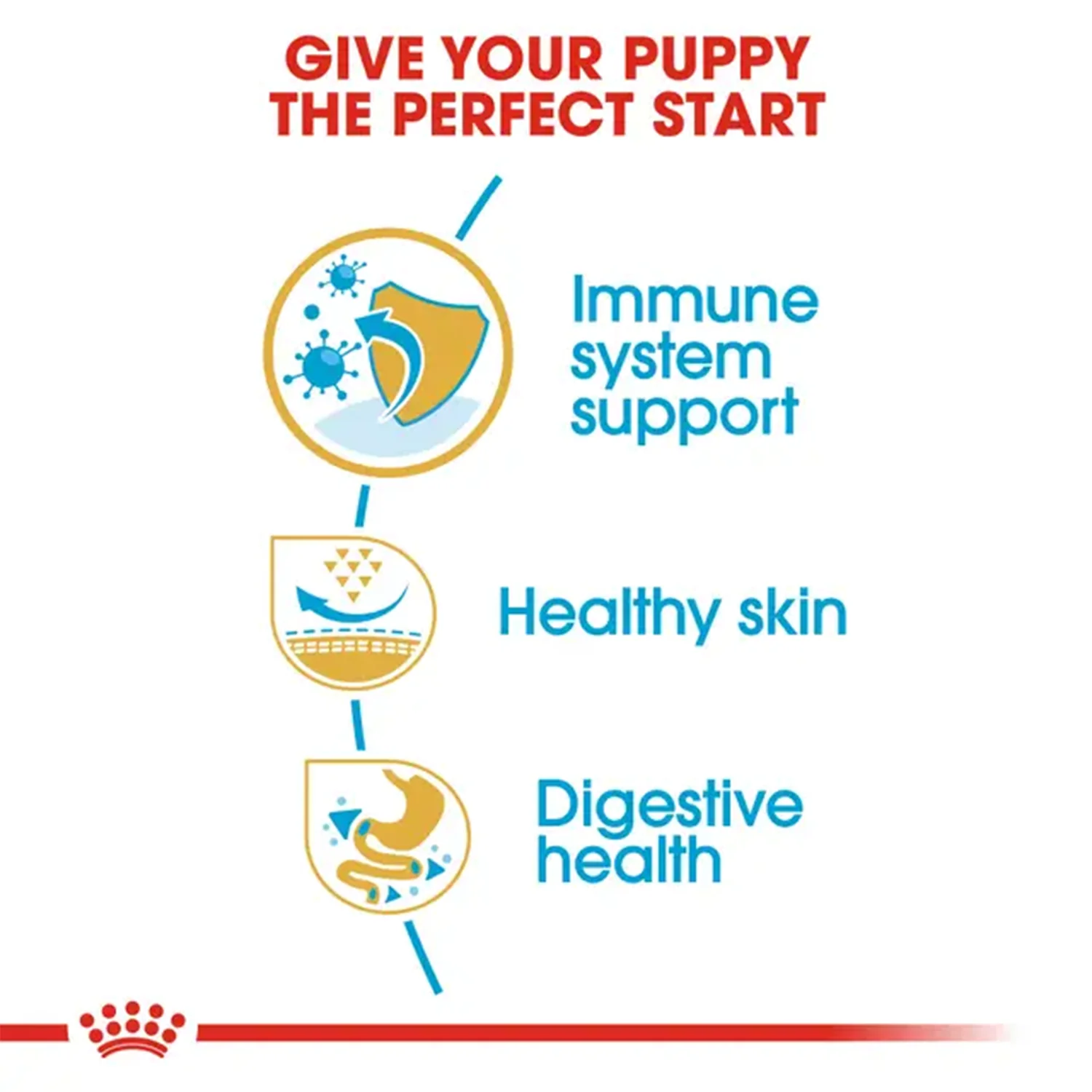 Royal Canin Pug Junior Dog Dry Food - Image 2