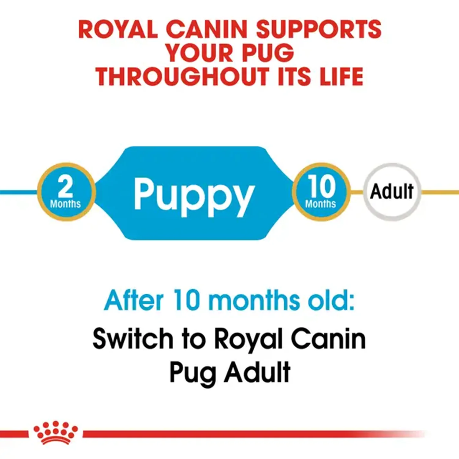 Royal Canin Pug Junior Dog Dry Food - Image 3