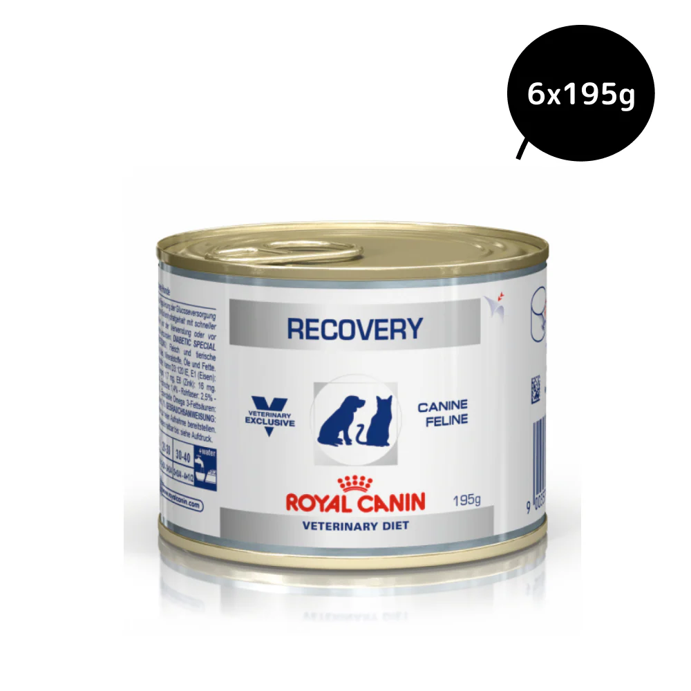 Royal Canin Recovery Canned Adult Pet Wet Food - Image 6