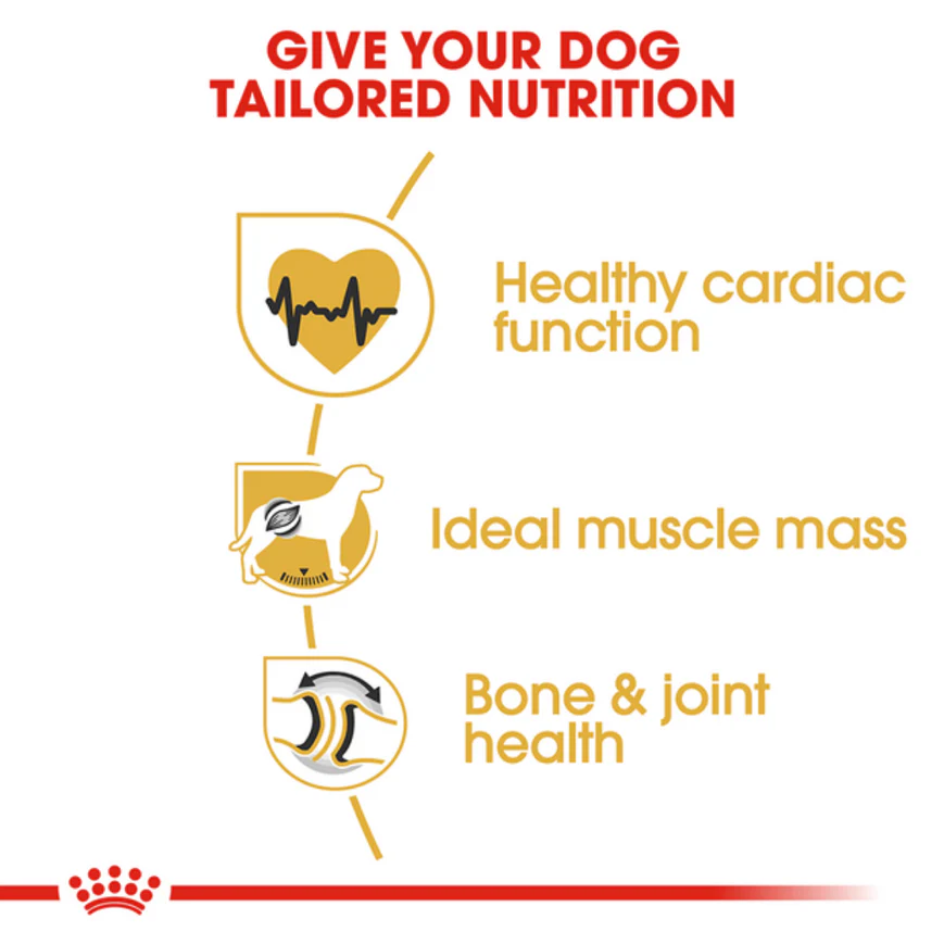 Royal Canin Rottweiler Adult Dog Dry Food - Image 2
