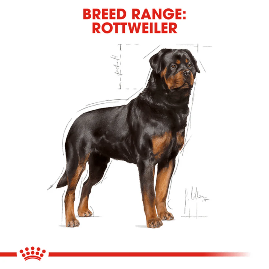 Royal Canin Rottweiler Adult Dog Dry Food - Image 5