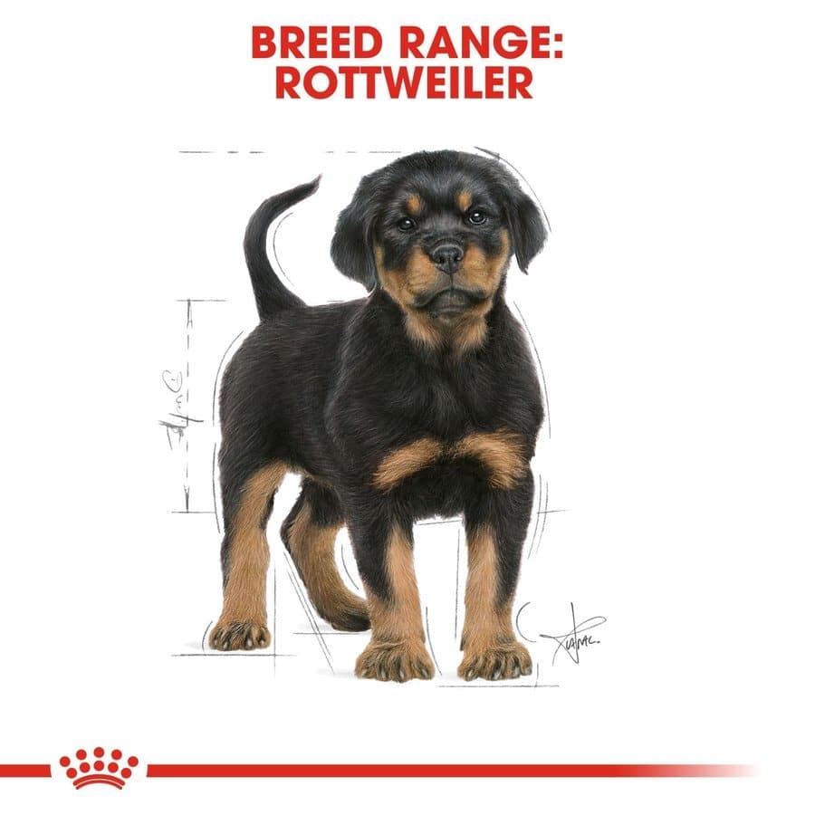 Royal Canin Rottweiler Puppy Dog Dry Food - Image 8