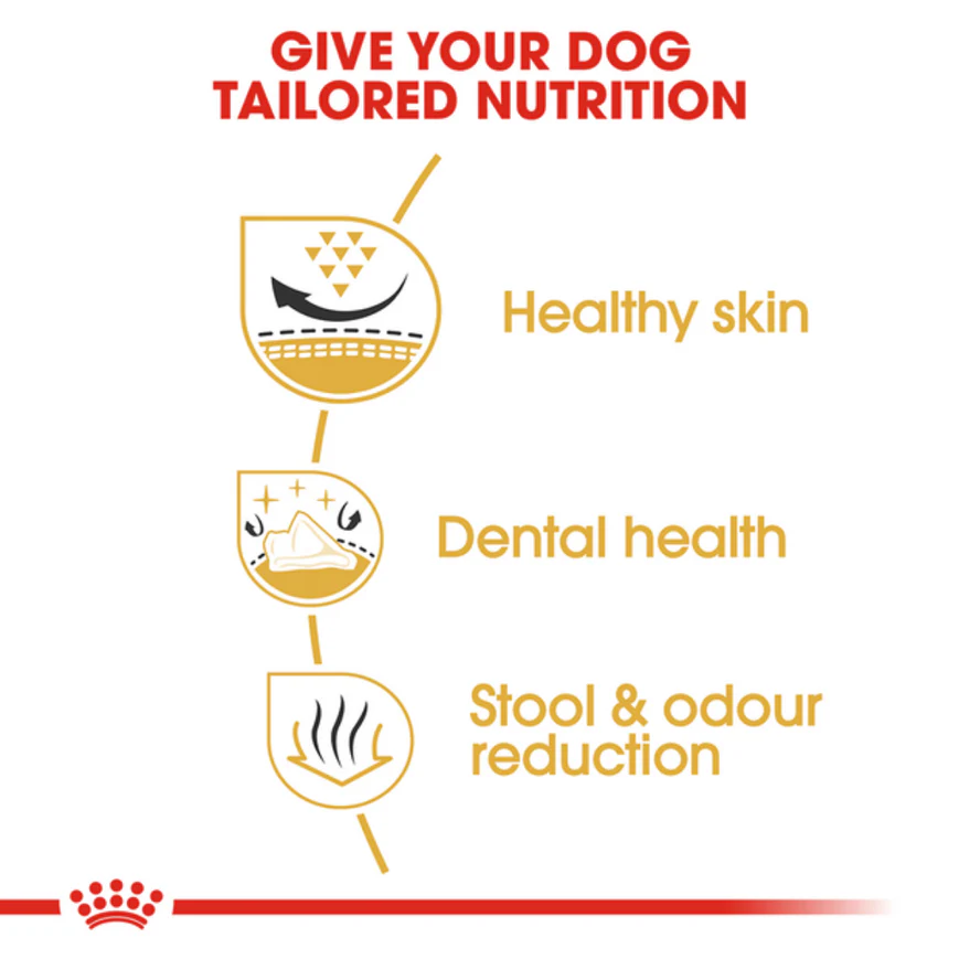 Royal Canin Shih Tzu Adult Dog Dry Food - Image 2