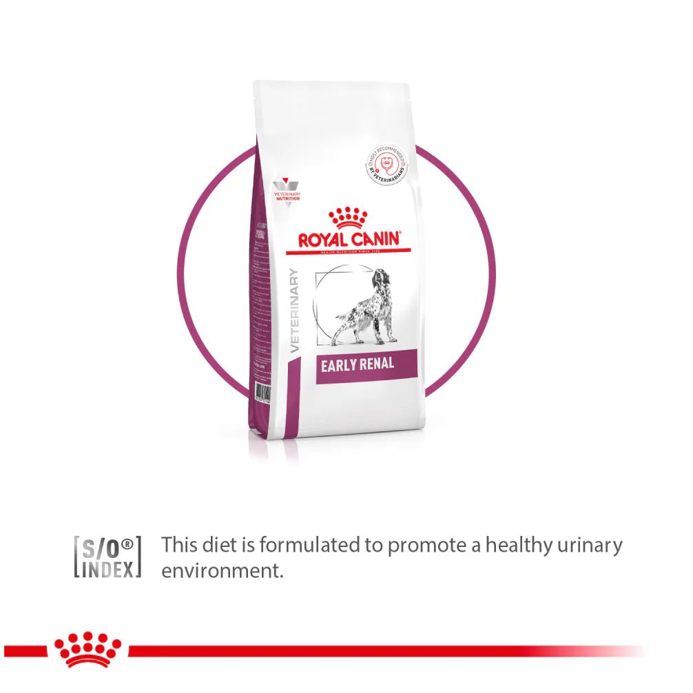 Royal Canin Veterinary Diet Early Renal Dog Dry Food - Image 2