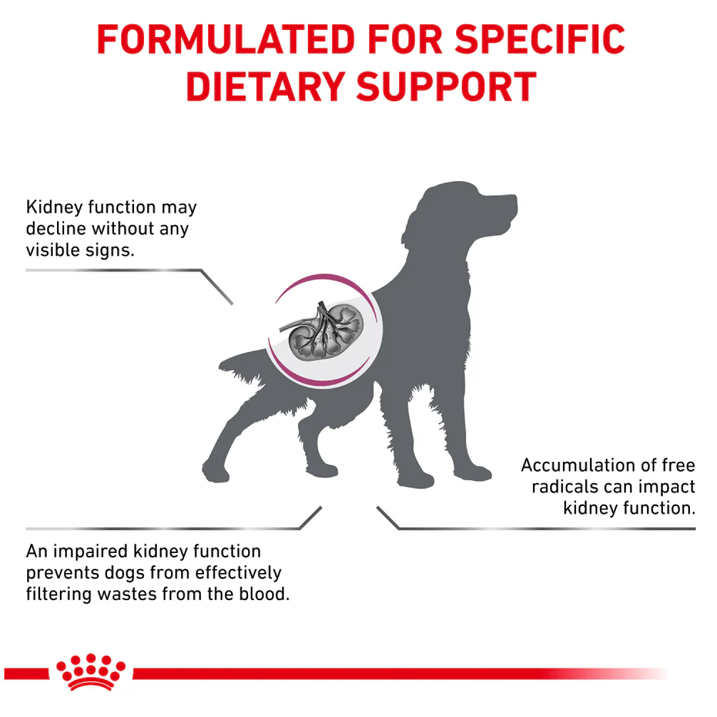 Royal Canin Veterinary Diet Early Renal Dog Dry Food - Image 4