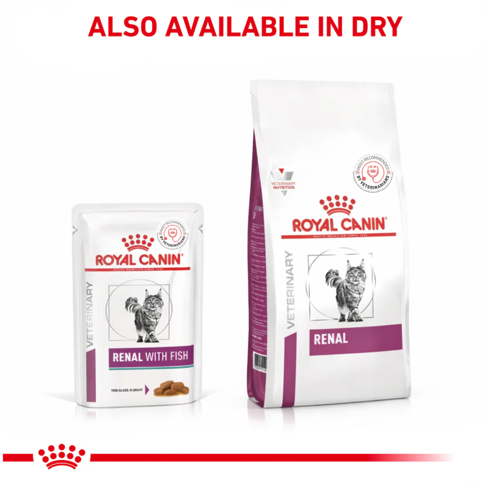 Royal Canin Veterinary Diet Renal Tuna Adult Cat Wet Food - Image 4