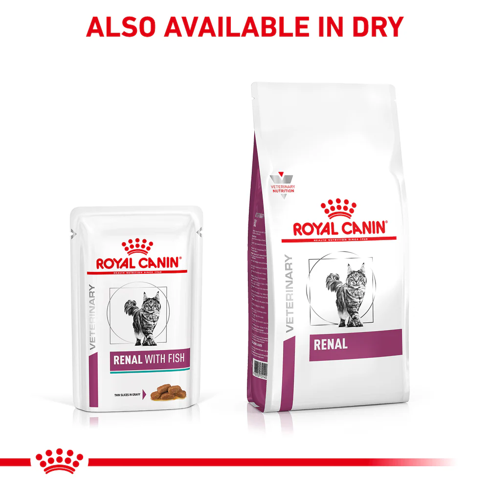 Royal Canin Veterinary Diet Renal Fish Adult Cat Wet Food - Image 10