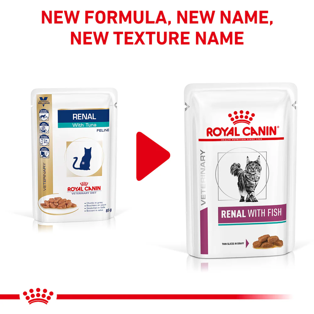 Royal Canin Veterinary Diet Renal Fish Adult Cat Wet Food - Image 2