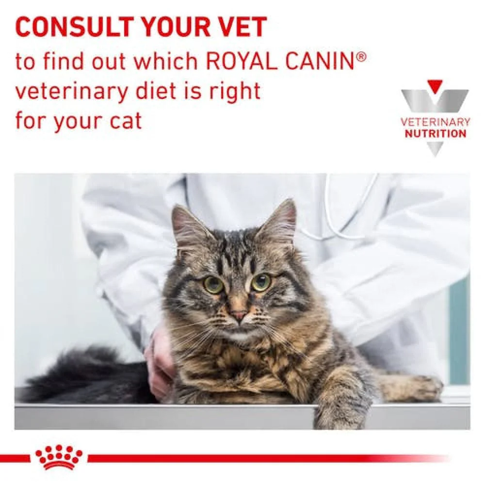 Royal Canin Veterinary Diet Renal Fish Adult Cat Wet Food - Image 6