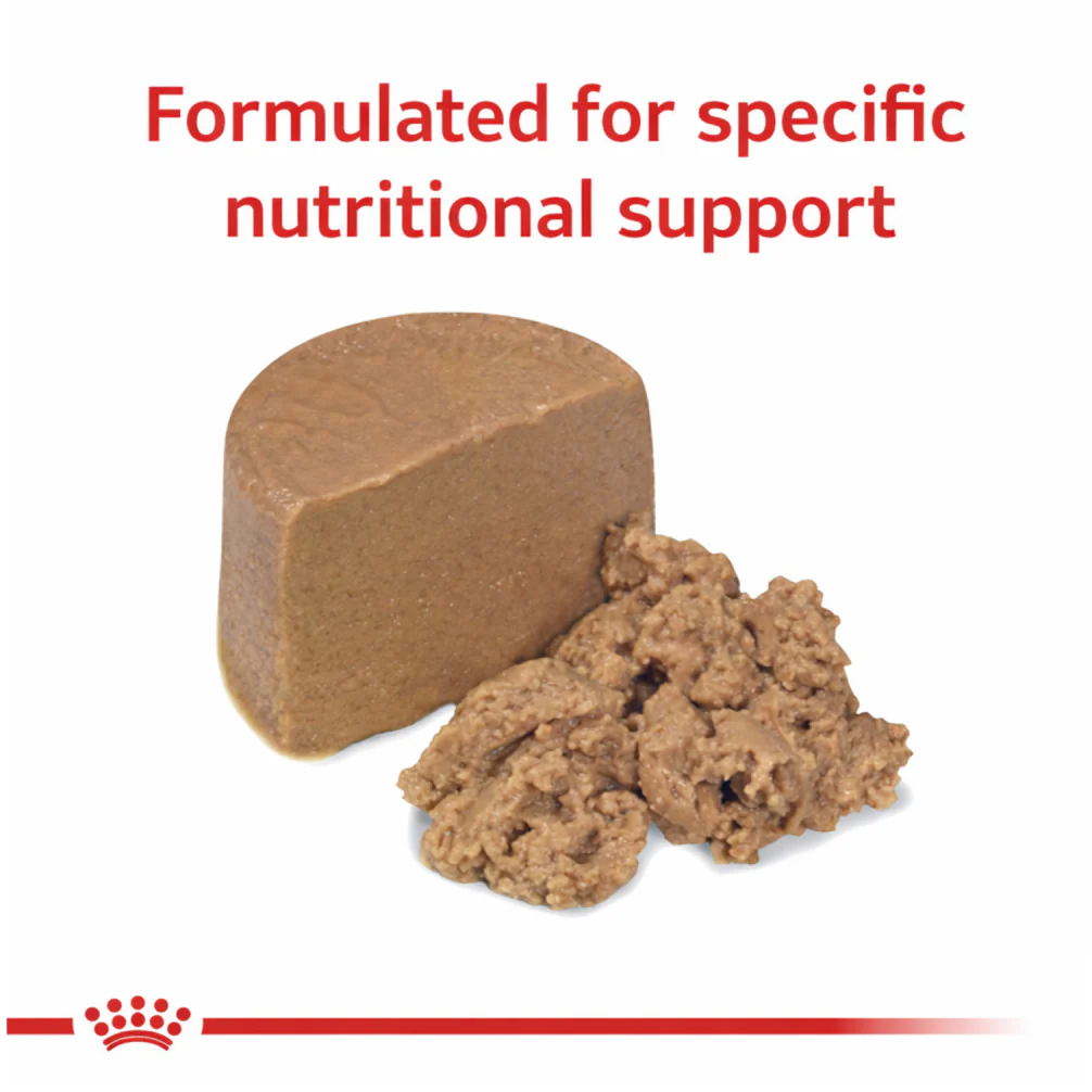 Royal Canin Veterinary Diet Gastrointestinal Puppy Food Can Wet Food - Image 4