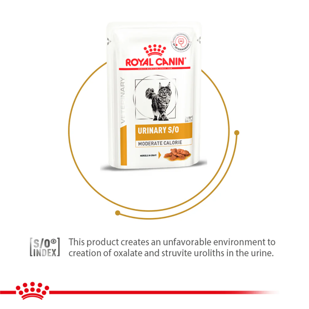 Royal Canin Veterinary Diet Urinary S/O Moderate Calorie Cat Wet Food - Image 2