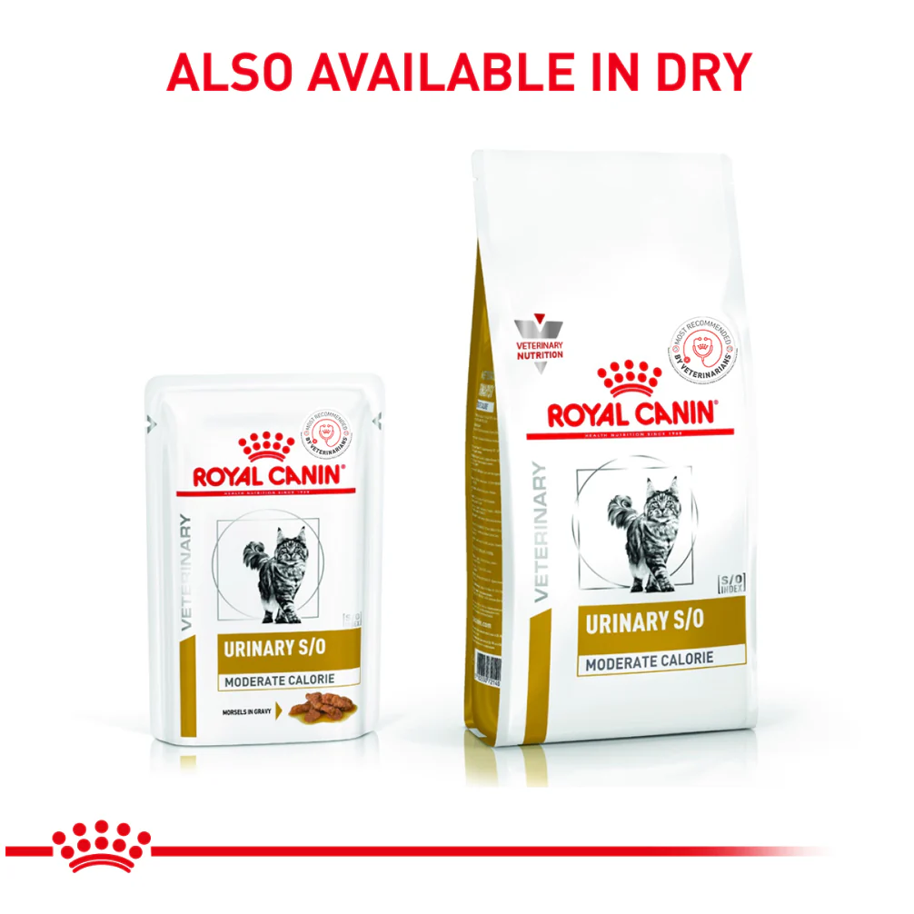 Royal Canin Veterinary Diet Urinary S/O Moderate Calorie Cat Wet Food - Image 3