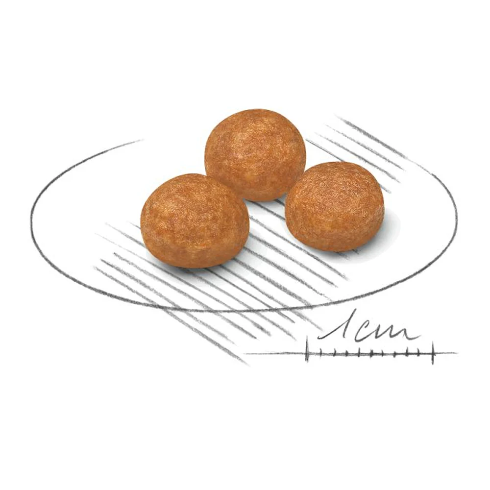 Royal Canin X Small Adult Dog Dry Food - Image 2