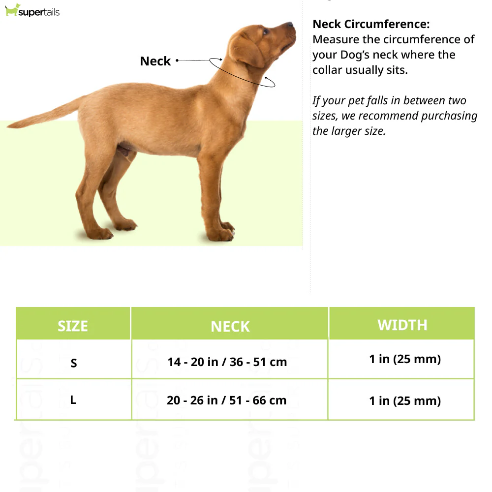 Ruffwear Confluence Waterproof Collar for Dogs (Red Sumac) - Image 2