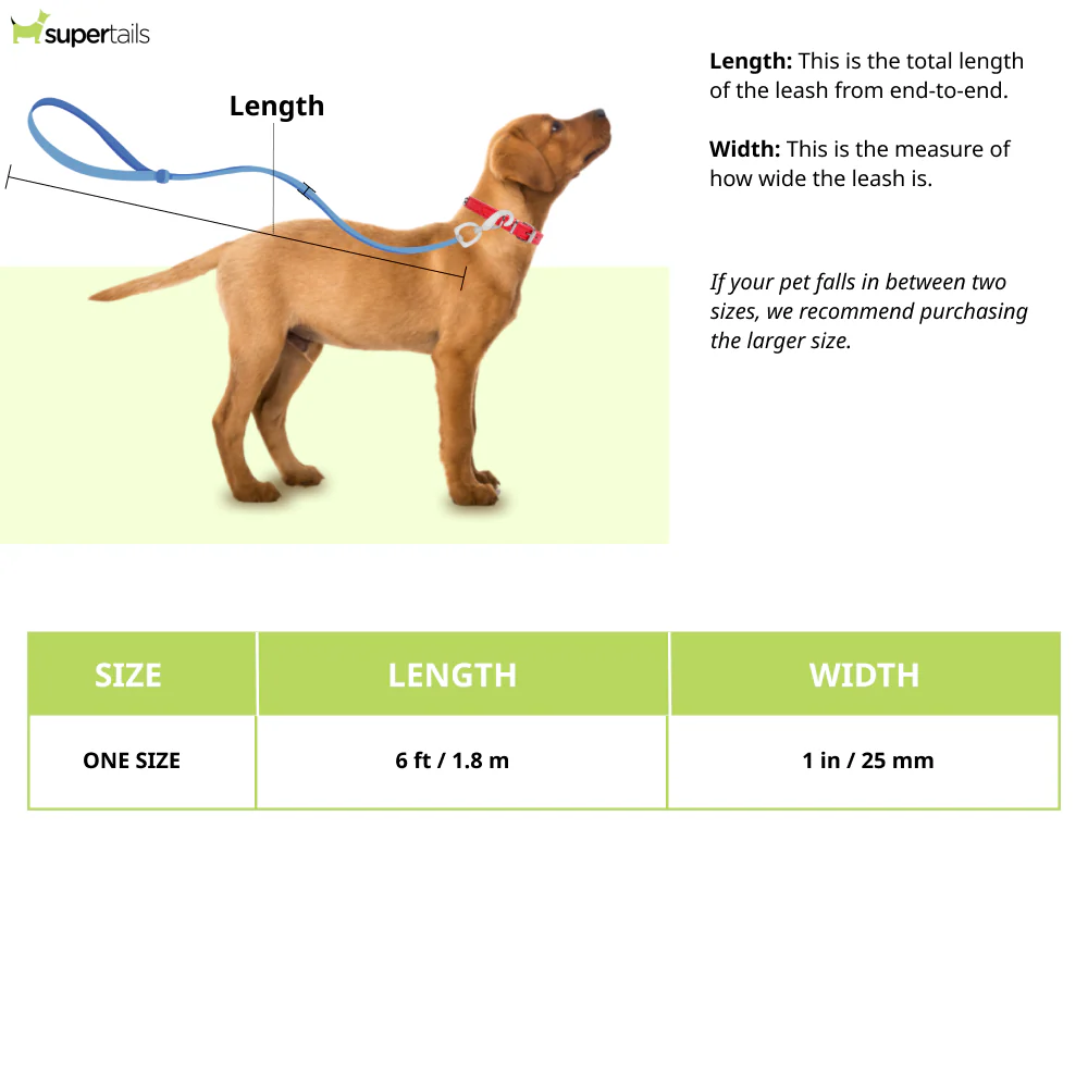 Ruffwear Flat Out Leash for Dogs (Spring Burst) - Image 2