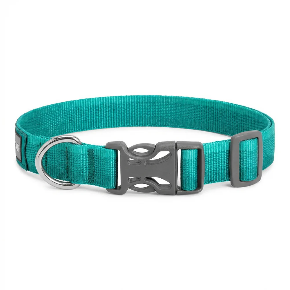 Ruffwear Front Range Collar for Dogs (Aurora Teal) - Image 5