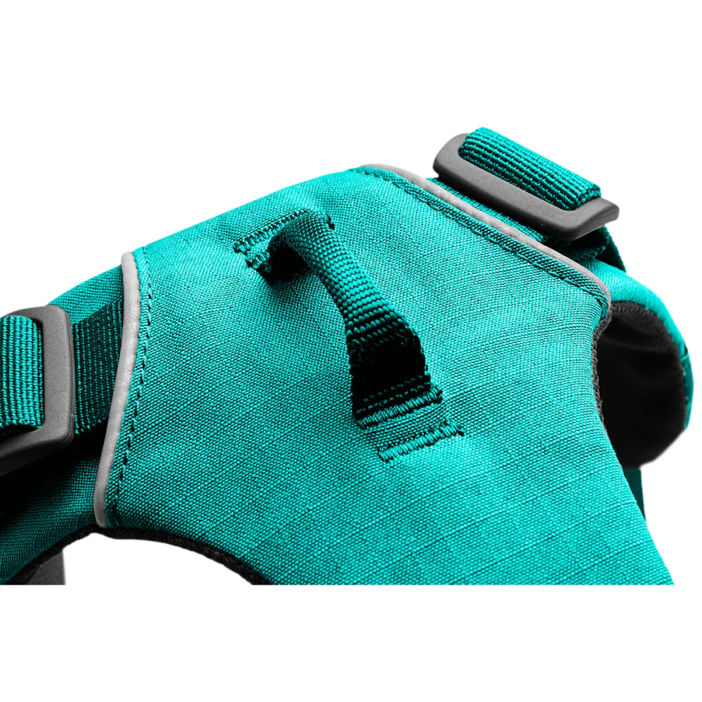 Ruffwear Front Range Harness for Dogs (Aurora Teal) - Image 5