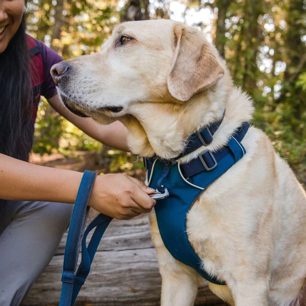 Ruffwear Front Range Harness for Dogs (Blue Moon) - Image 7
