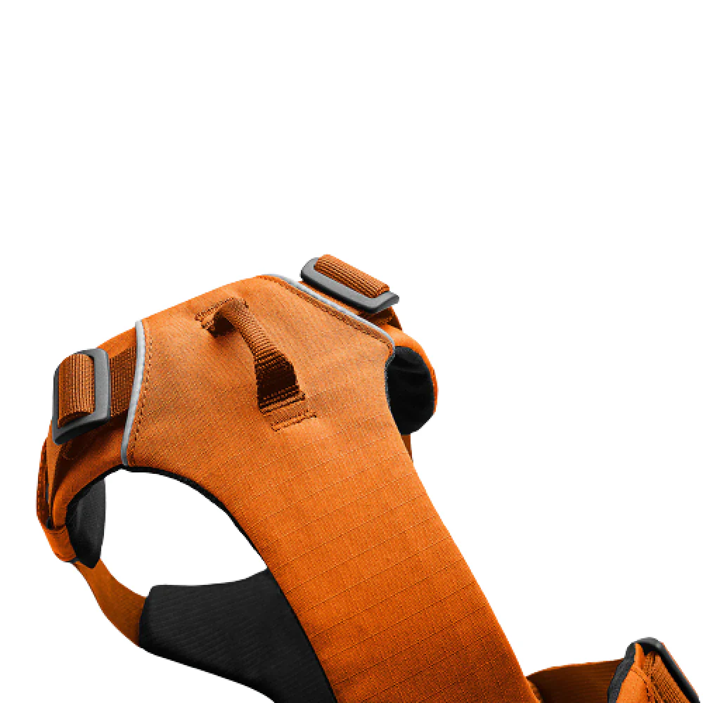 Ruffwear Front Range Harness for Dogs (Campfire Orange) - Image 5