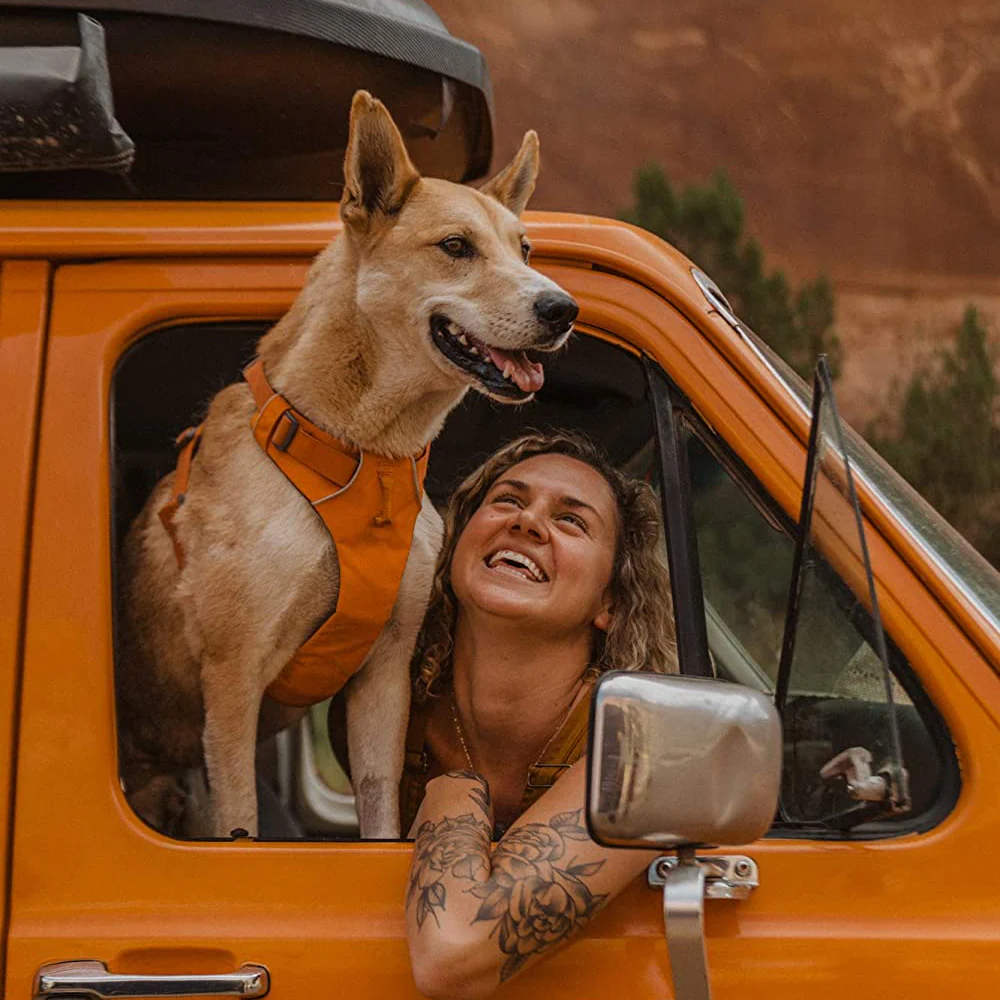 Ruffwear Front Range Harness for Dogs (Campfire Orange) - Image 6