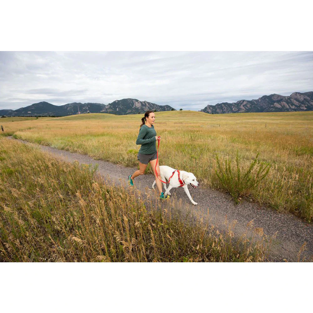 Ruffwear Front Range Harness for Dogs (Campfire Orange) - Image 7