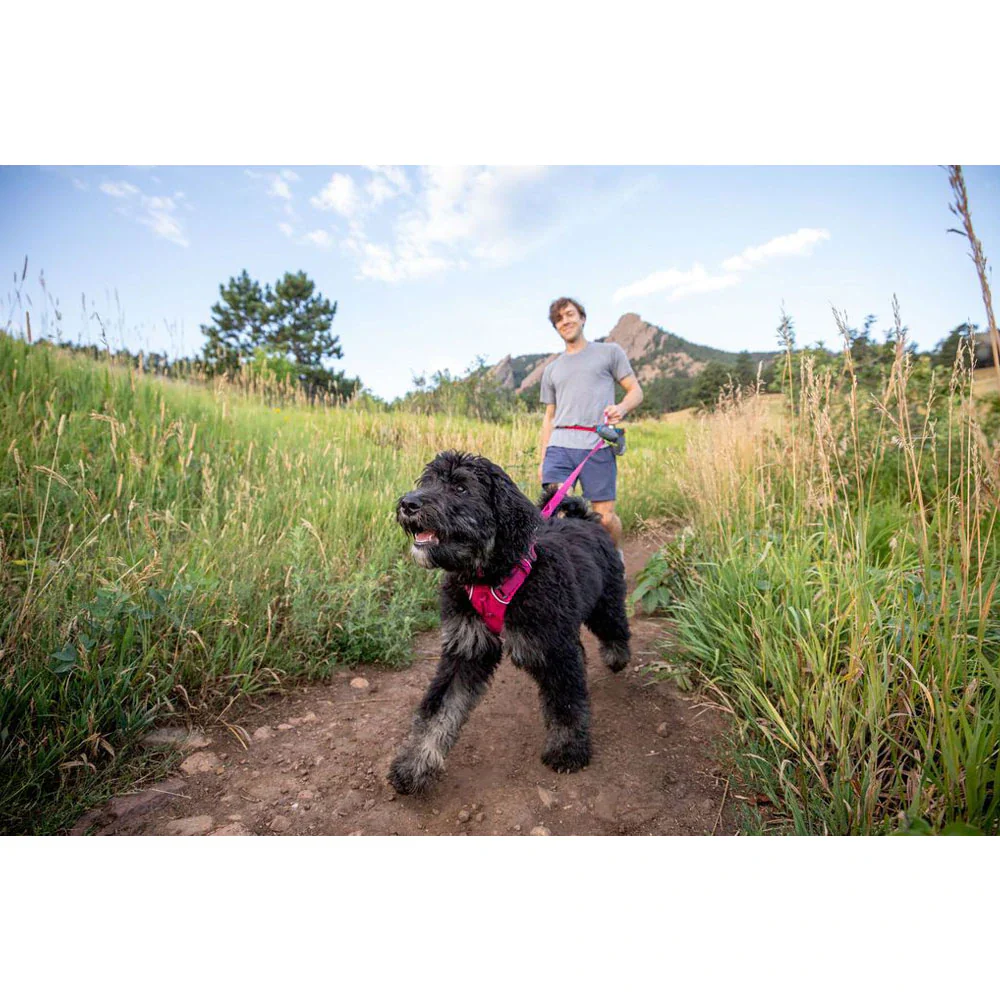 Ruffwear Front Range Harness for Dogs (Hibiscus Pink) - Image 6