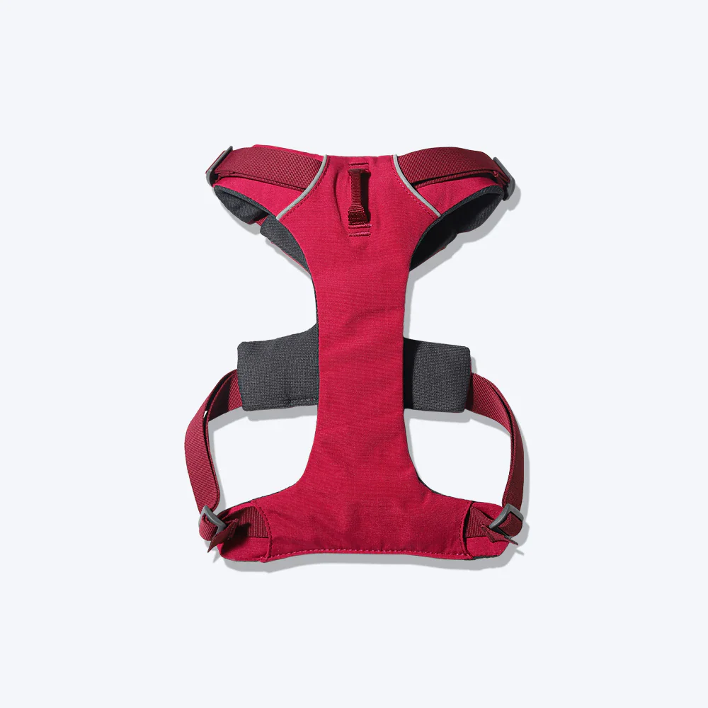 Ruffwear Front Range Harness for Dogs (Red Sumac) - Image 5