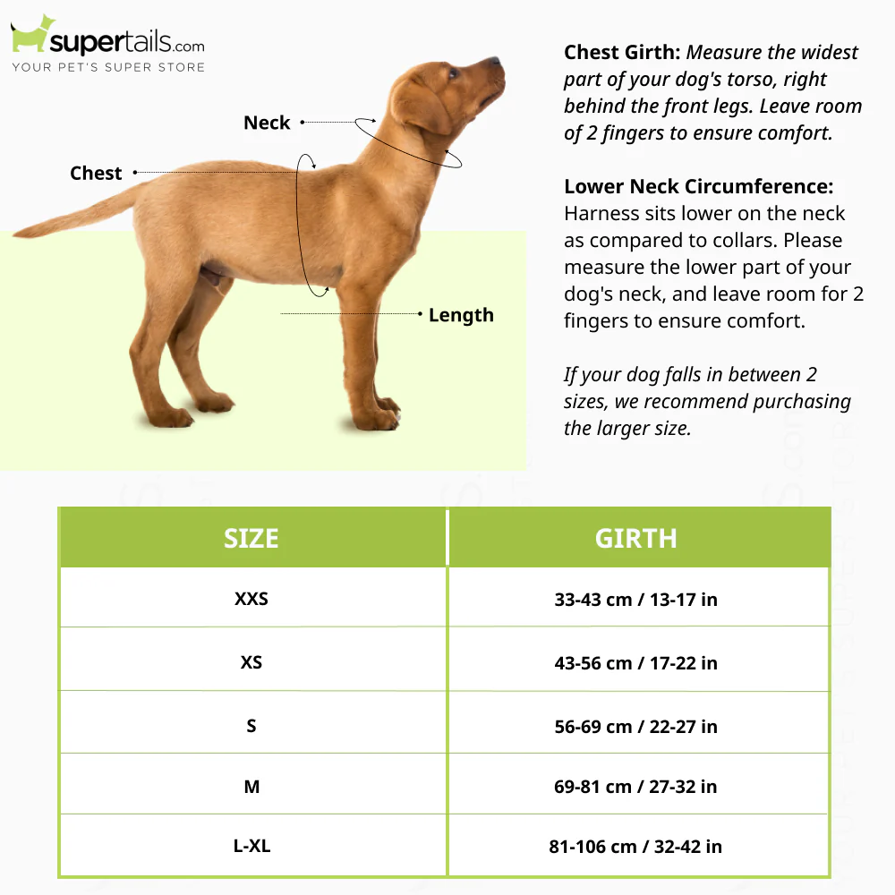 Ruffwear Front Range Harness for Dogs (Twilight Grey) - Image 2
