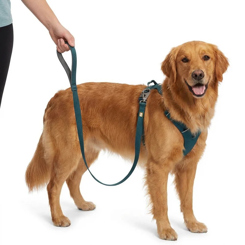 Ruffwear Front Range Leash for Dogs (Blue Moon) - Image 2