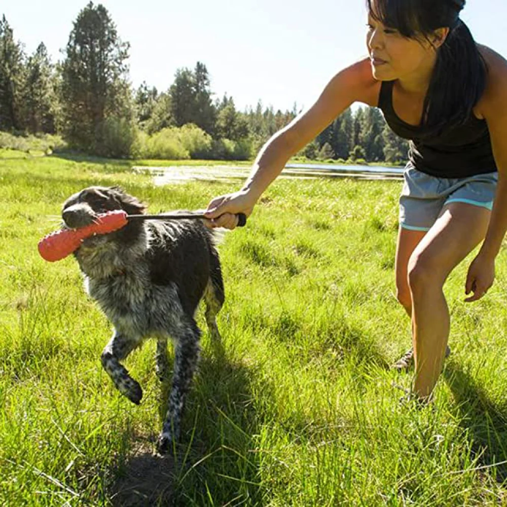 Ruffwear Gourdo Chew Toy for Dogs (Metolius Blue) - Image 5