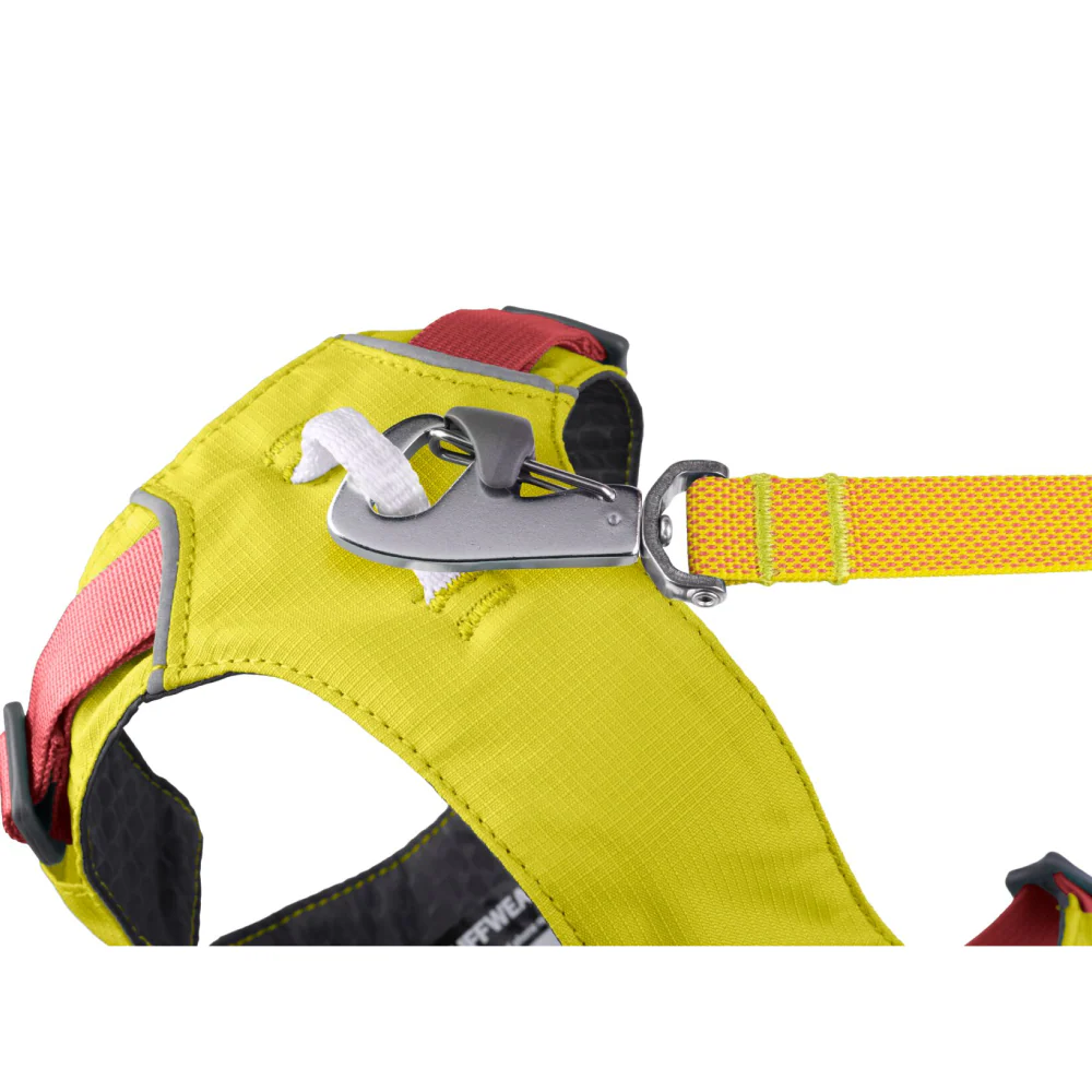 Ruffwear Hi & Light Harness for Dogs (Lichen Green) - Image 4