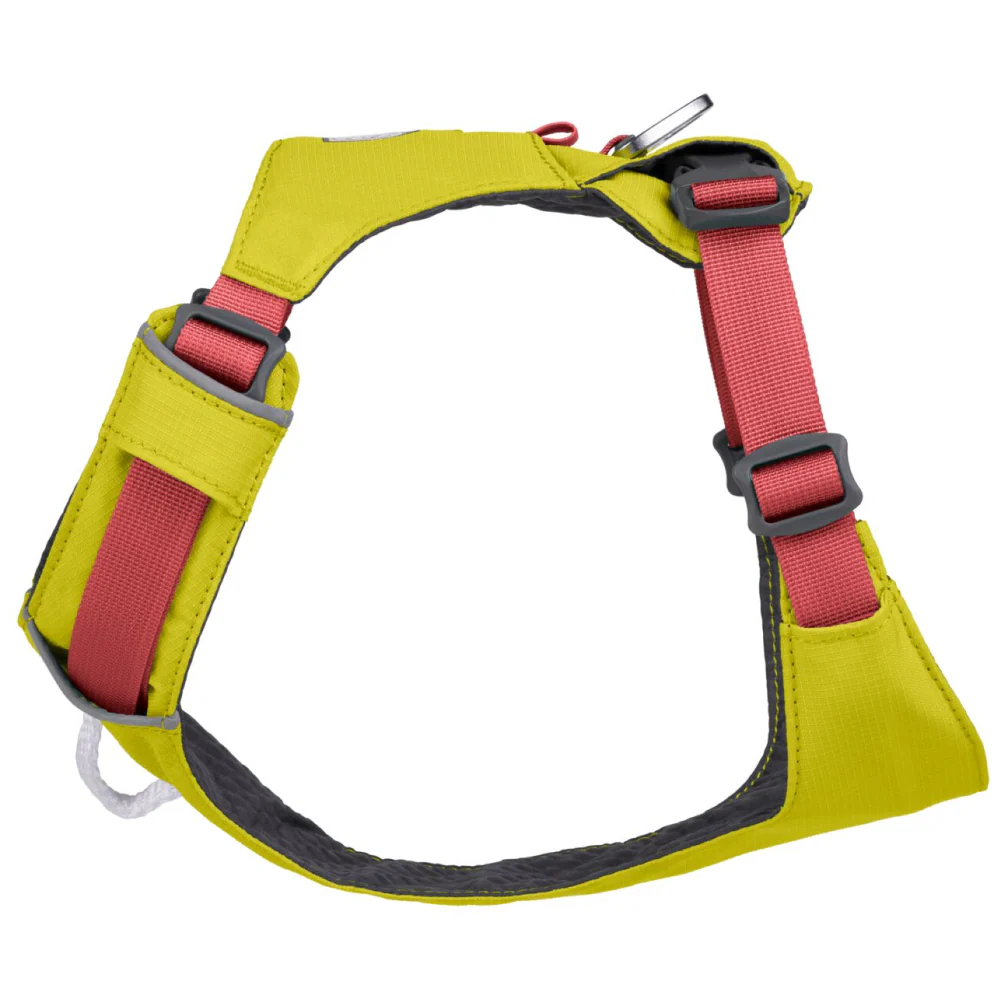 Ruffwear Hi & Light Harness for Dogs (Lichen Green) - Image 5