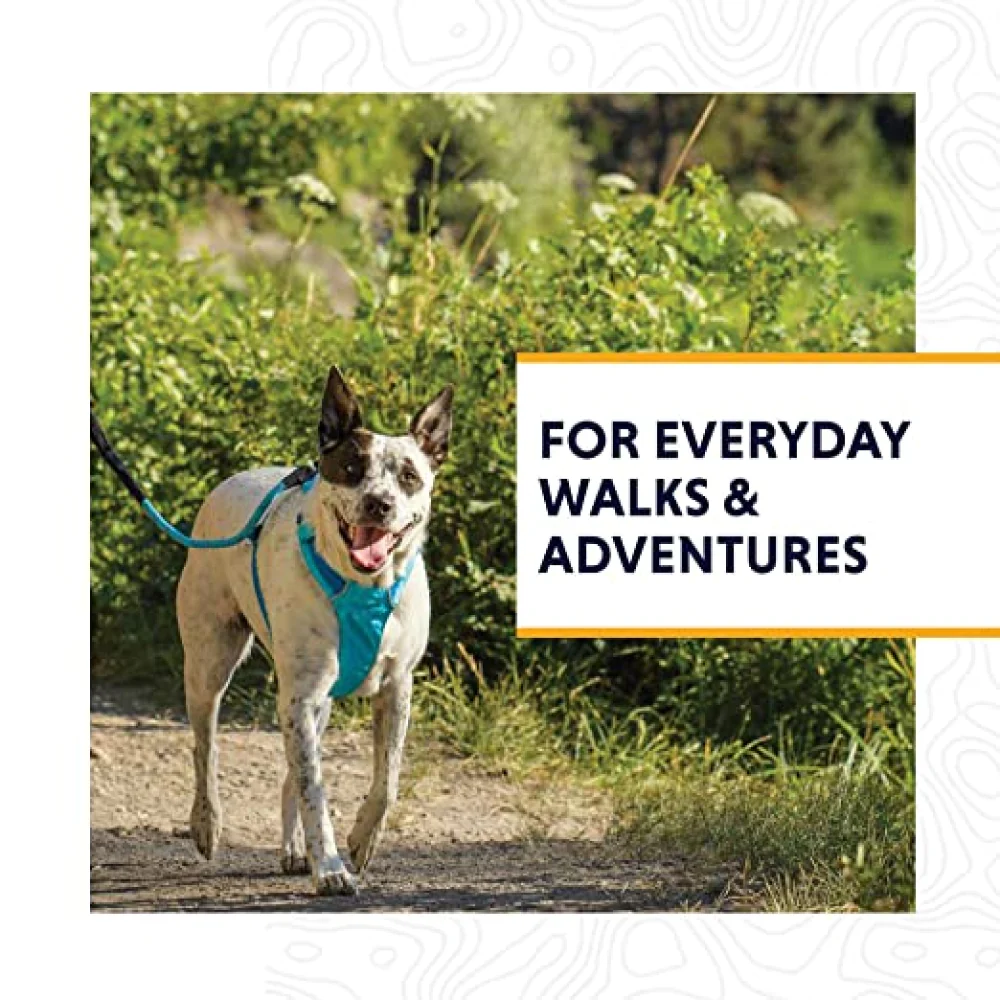 Ruffwear Hi & Light Harness for Dogs (Lichen Green) - Image 7