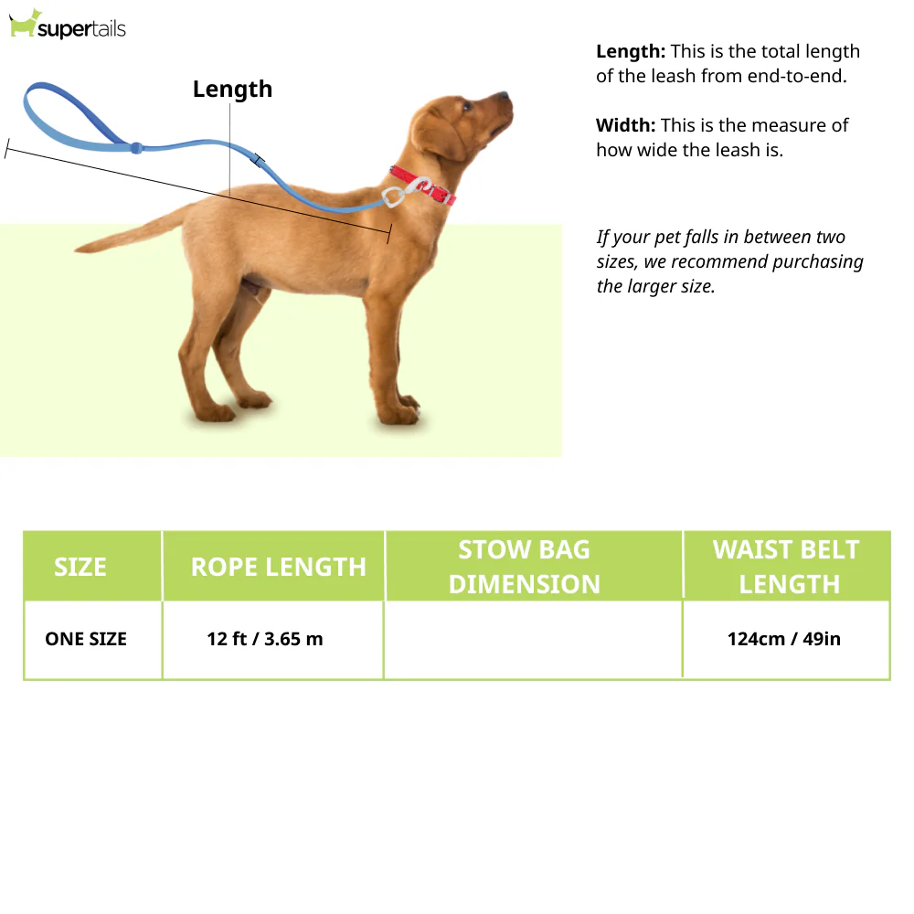 Ruffwear Hitch Hiker Leash for Dogs (Aurora Teal) - Image 2