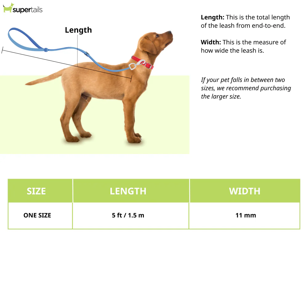 Ruffwear Just a Cinch Leash for Dogs (Red Sumac) - Image 2